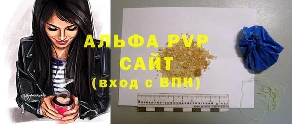 крисы Ельня