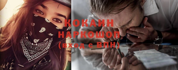 крисы Ельня