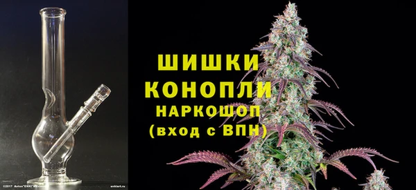крисы Ельня