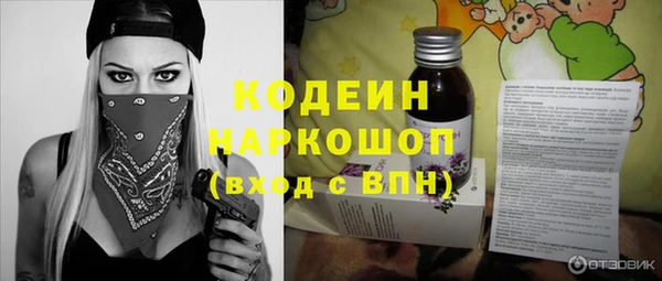 крисы Ельня