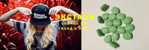 крисы Ельня