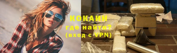 крисы Ельня