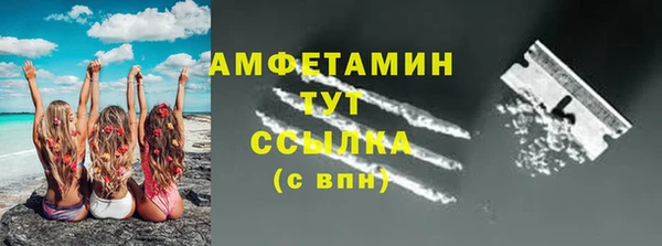 крисы Ельня