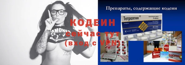 крисы Ельня