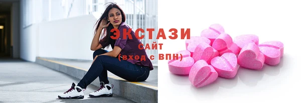 крисы Ельня