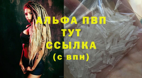 крисы Ельня