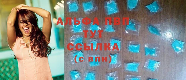 крисы Ельня