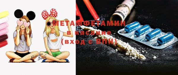 крисы Ельня