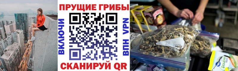 Купить закладки  Ивдель  Галлюциногенные грибы мухоморы 