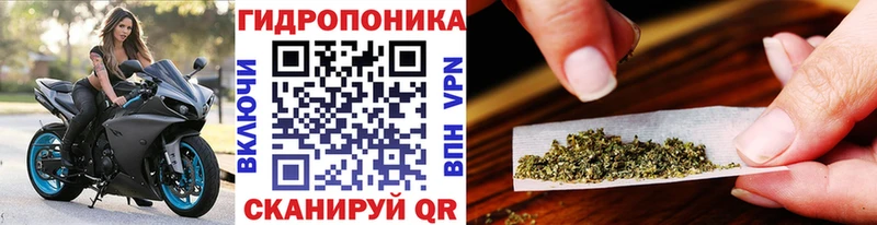 Купить  Ивдель  Каннабис марихуана 
